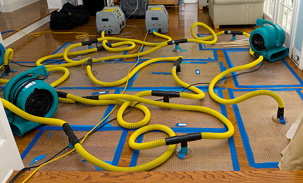 Professional Storm Water Damage Restoration technician working in Harmonsburg, PA