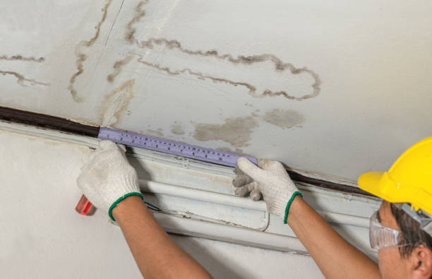 Affordable Water Damage Repair solutions in Harmonsburg, PA